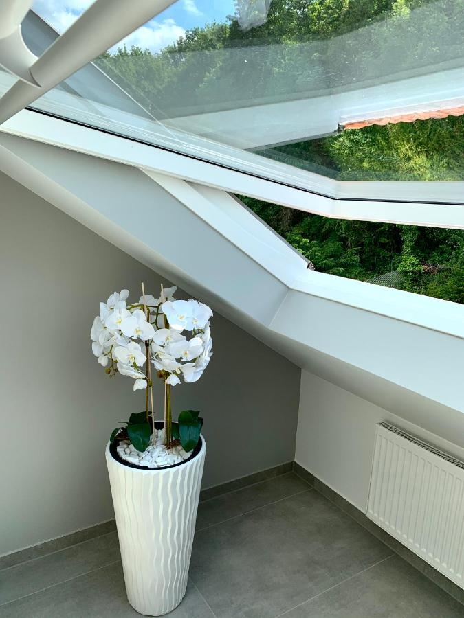 Six - One Seven Lägenhet Koblenz  Exteriör bild
